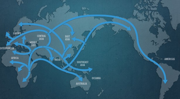 human genographic project