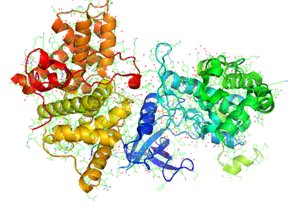 P-TEFb protein and the HIV-1 Tat protein