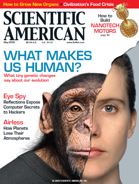 human chimpanzee genetic similarity